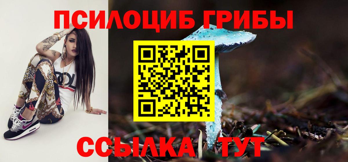 Коммунар  Псилоцибиновые грибы Psilocybe  Вход с VPN 